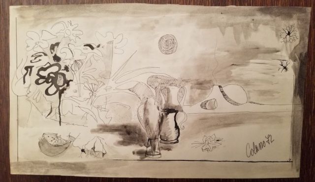 COLUSSEO, 1972 - Panorama, brocche e fiori (18x30)